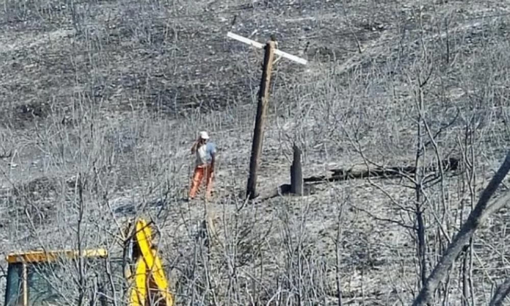 ΔΕΔΔΗΕ: Συνεχίζεται πυρετωδώς η αποκατάσταση του δικτύου ηλεκτρικής ενέργειας μετά τις πυρκαγιές